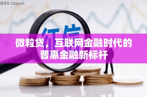 石鼓微粒贷，互联网金融时代的普惠金融新标杆