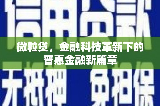 石鼓微粒贷，金融科技革新下的普惠金融新篇章
