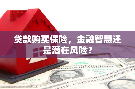石鼓贷款购买保险，金融智慧还是潜在风险？