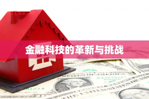 石鼓金融科技的革新与挑战