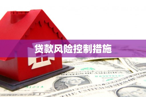 石鼓贷款风险控制措施