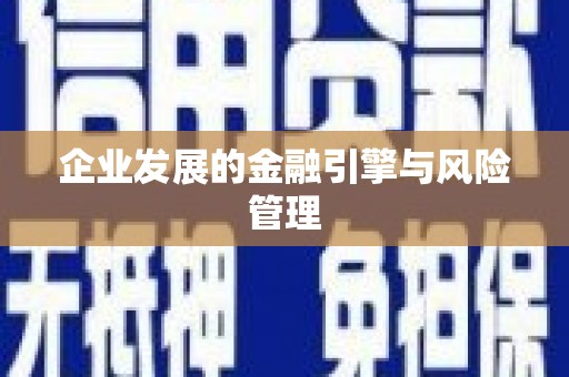 石鼓企业发展的金融引擎与风险管理