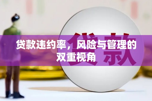 石鼓贷款违约率，风险与管理的双重视角
