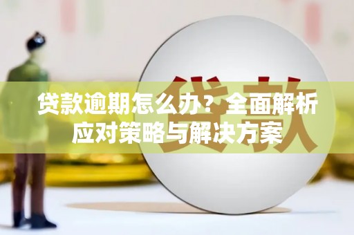 石鼓贷款逾期怎么办？全面解析应对策略与解决方案