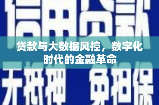 石鼓贷款与大数据风控，数字化时代的金融革命