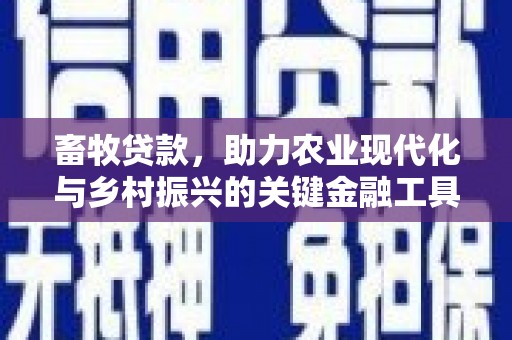 石鼓畜牧贷款，助力农业现代化与乡村振兴的关键金融工具
