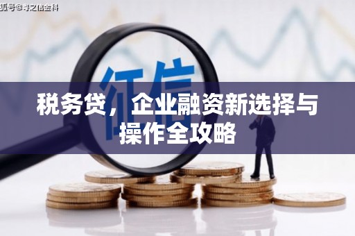 石鼓税务贷，企业融资新选择与操作全攻略