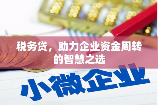 石鼓税务贷，助力企业资金周转的智慧之选