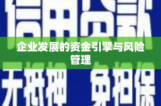 石鼓企业发展的资金引擎与风险管理