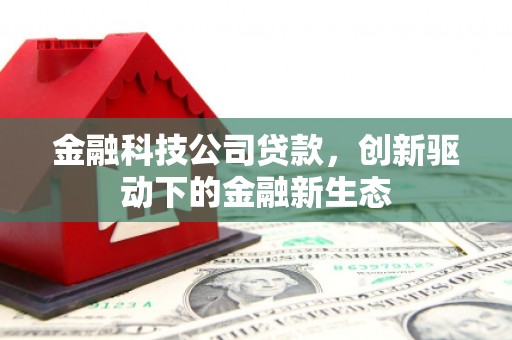 石鼓金融科技公司贷款，创新驱动下的金融新生态