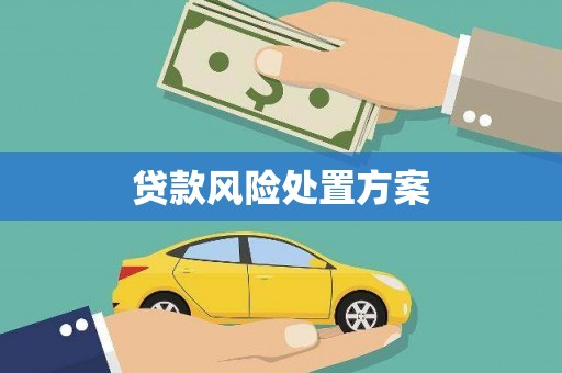 石鼓贷款风险处置方案