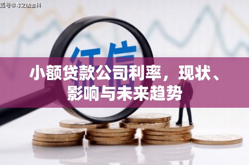 石鼓小额贷款公司利率，现状、影响与未来趋势