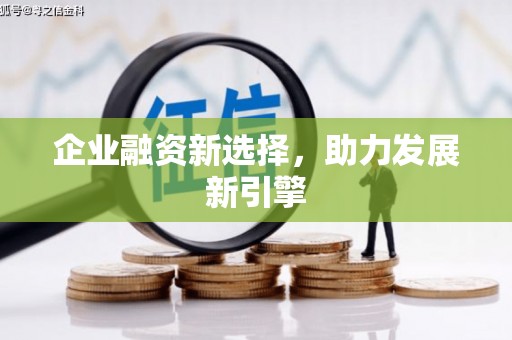 石鼓企业融资新选择，助力发展新引擎
