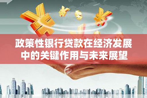 石鼓政策性银行贷款在经济发展中的关键作用与未来展望