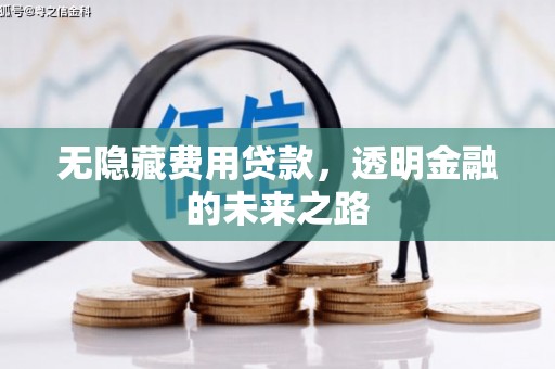 石鼓无隐藏费用贷款，透明金融的未来之路