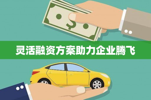 石鼓灵活融资方案助力企业腾飞