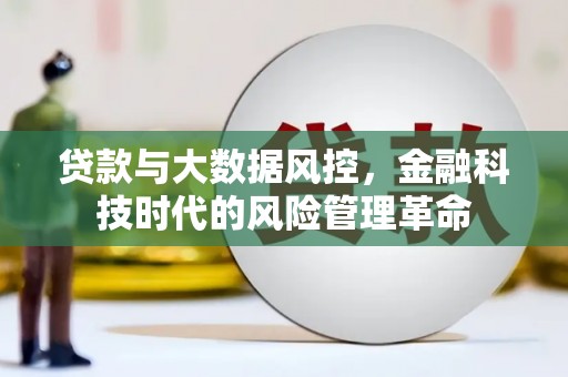 石鼓贷款与大数据风控，金融科技时代的风险管理革命