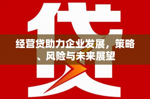 石鼓经营贷助力企业发展，策略、风险与未来展望