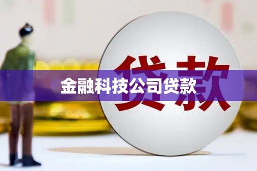 石鼓金融科技公司贷款