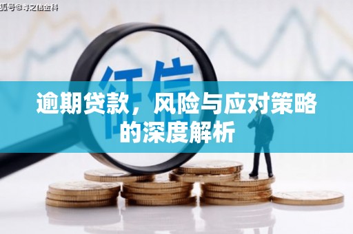 石鼓逾期贷款，风险与应对策略的深度解析