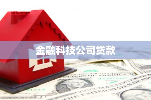 石鼓金融科技公司贷款