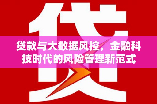 石鼓贷款与大数据风控，金融科技时代的风险管理新范式
