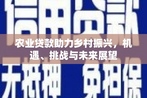 石鼓农业贷款助力乡村振兴，机遇、挑战与未来展望