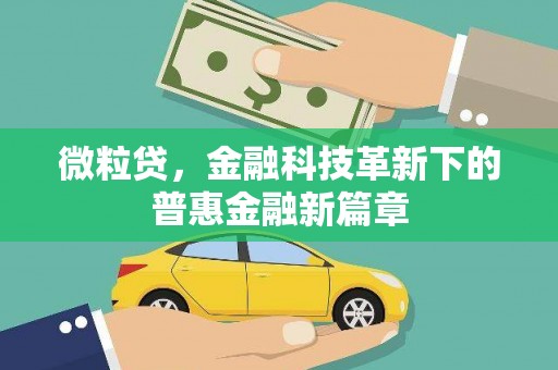 石鼓微粒贷，金融科技革新下的普惠金融新篇章