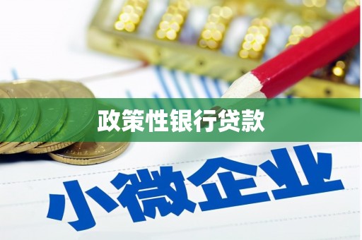 石鼓政策性银行贷款