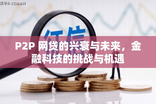 石鼓P2P 网贷的兴衰与未来，金融科技的挑战与机遇