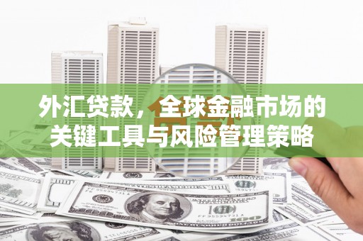 石鼓外汇贷款，全球金融市场的关键工具与风险管理策略