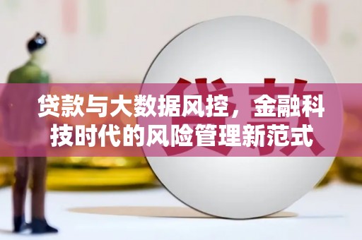 石鼓贷款与大数据风控，金融科技时代的风险管理新范式