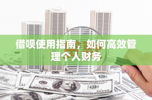 石鼓借呗使用指南，如何高效管理个人财务