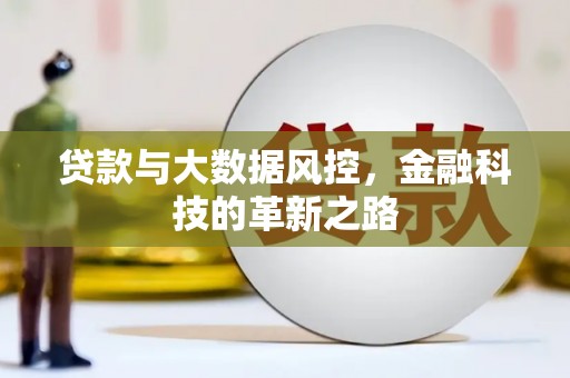 石鼓贷款与大数据风控，金融科技的革新之路
