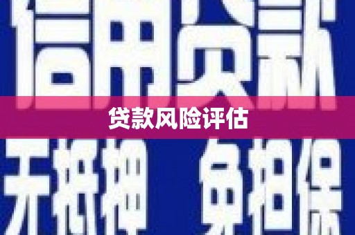 石鼓贷款风险评估