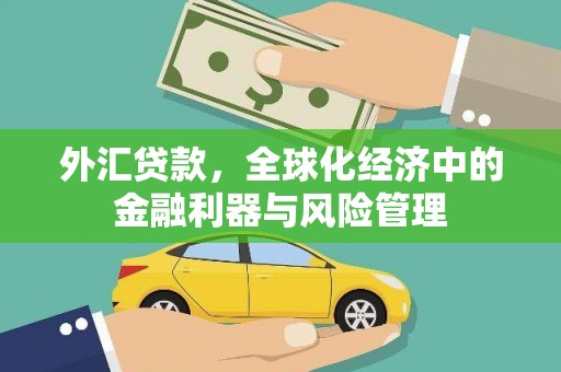 石鼓外汇贷款，全球化经济中的金融利器与风险管理