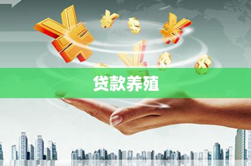 石鼓贷款养殖