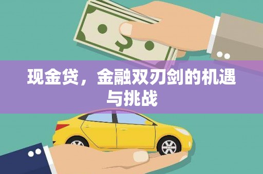 石鼓现金贷，金融双刃剑的机遇与挑战