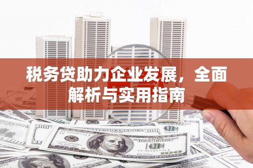 石鼓税务贷助力企业发展，全面解析与实用指南