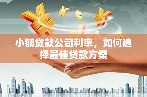 石鼓小额贷款公司利率，如何选择最佳贷款方案