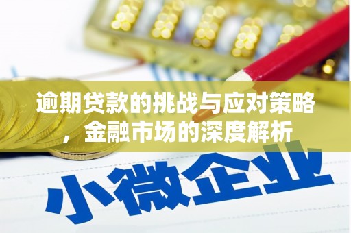 石鼓逾期贷款的挑战与应对策略，金融市场的深度解析