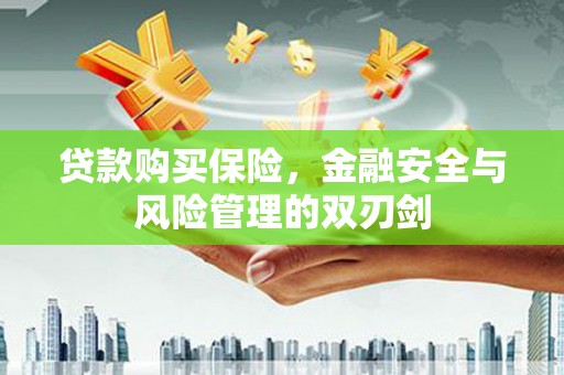 石鼓贷款购买保险，金融安全与风险管理的双刃剑