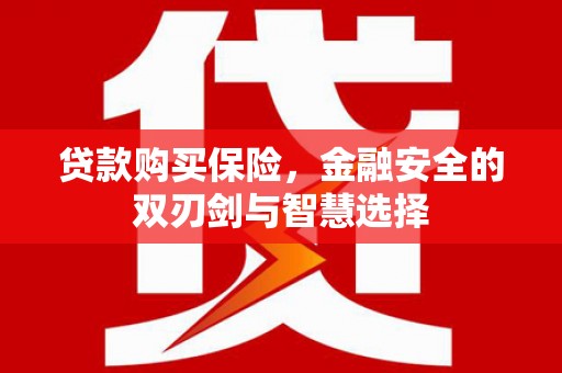 石鼓贷款购买保险，金融安全的双刃剑与智慧选择