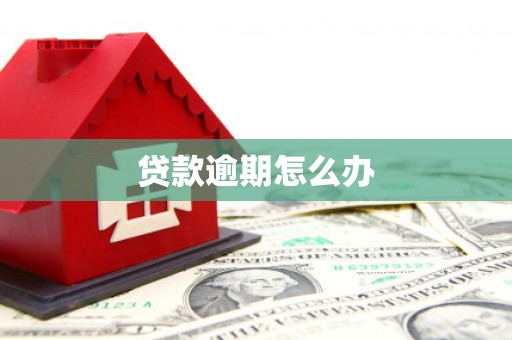 石鼓贷款逾期怎么办