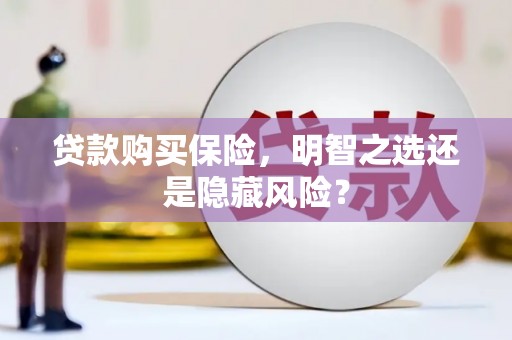 石鼓贷款购买保险，明智之选还是隐藏风险？