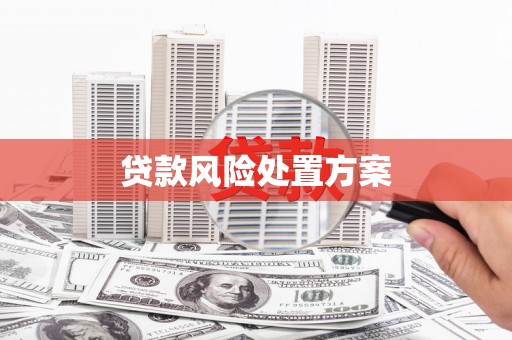 石鼓贷款风险处置方案