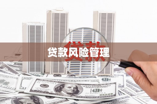 石鼓贷款风险管理