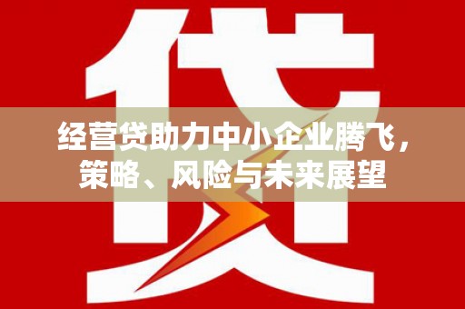 石鼓经营贷助力中小企业腾飞，策略、风险与未来展望