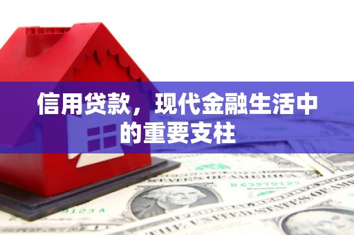 石鼓信用贷款，现代金融生活中的重要支柱
