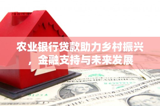 石鼓农业银行贷款助力乡村振兴，金融支持与未来发展